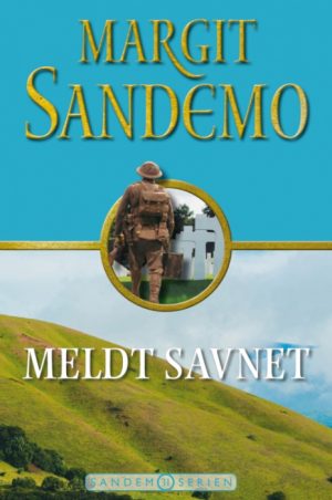 Sandemoserien 31 - Meldt savnet (Bog)