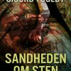 Sandheden om Sten (E-bog)
