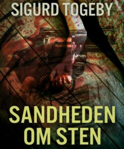 Sandheden om Sten (E-bog)