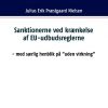 Sanktionerne ved krænkelse af EU-udbudsreglerne (Bog)