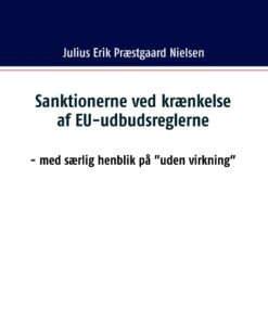 Sanktionerne ved krænkelse af EU-udbudsreglerne (Bog)