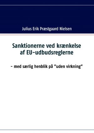 Sanktionerne ved krænkelse af EU-udbudsreglerne (Bog)