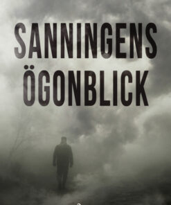 Sanningens ögonblick (E-bog)