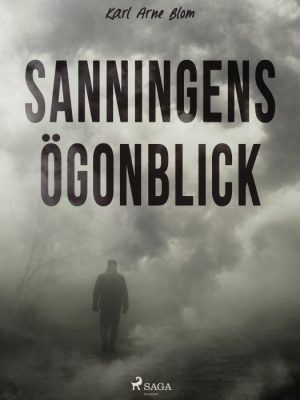 Sanningens ögonblick (E-bog)