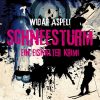 Schneesturm - ein eiskalter Krimi (E-bog)