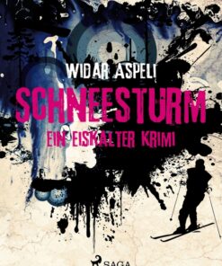 Schneesturm - ein eiskalter Krimi (E-bog)