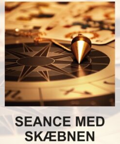 Seance med skæbnen (E-bog)