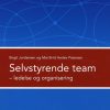 Selvstyrende team (Bog)