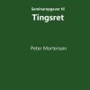 Seminaropgaver Til Tingsret - Peter Mortensen - Bog