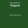 Seminaropgaver til Tingsret (Bog)