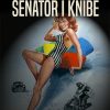 Senator i knibe (E-bog)