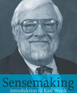 Sensemaking (Bog)