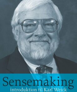 Sensemaking - Tine Murphy - Bog