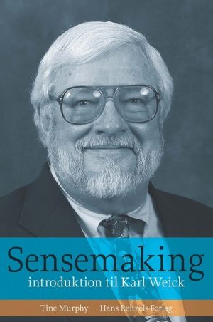 Sensemaking - Tine Murphy - Bog