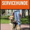 Servicehunde (E-bog)