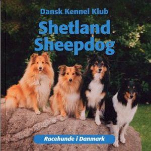 Shetland Sheepdog (Bog)