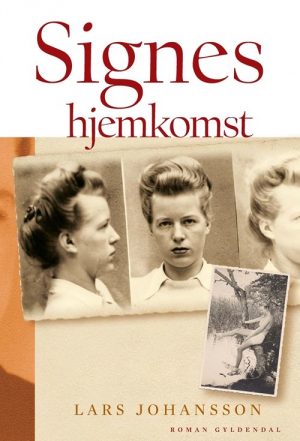 Signes Hjemkomst - Lars Johansson - Bog