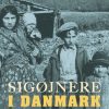Sigøjnere i Danmark (E-bog)