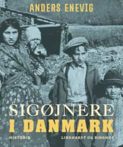 Sigøjnere i Danmark (E-bog)