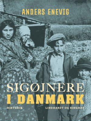 Sigøjnere i Danmark (E-bog)