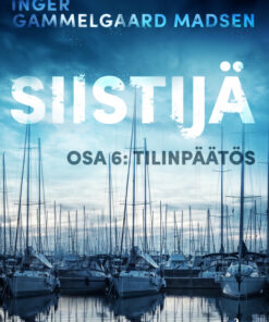Siistijä 6: Tilinpäätös (E-bog)