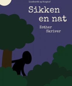 Sikke en nat (E-bog)