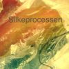 Silkeprocessen - Jan Hatt-olsen - Bog