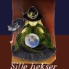 Sille-heksen (E-bog)