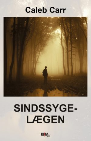 Sindssygelægen (E-bog)