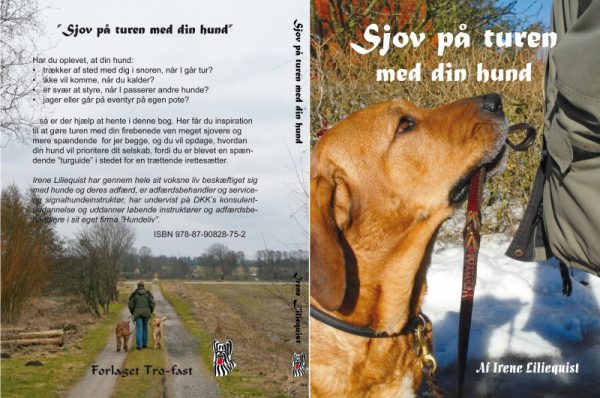 Sjov på turen med din hund (E-bog)