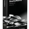 Skattememo Februar 2017 - Flemming L. Bach - Bog