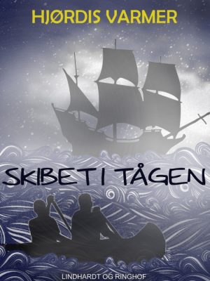 Skibet i tågen (E-bog)