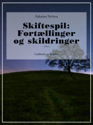 Skiftespil: Fortællinger og skildringer (Bog)