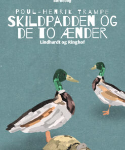 Skildpadden og de to ænder (E-bog)