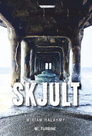 Skjult (Bog)