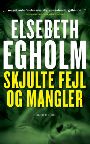 Skjulte fejl og mangler (E-bog)