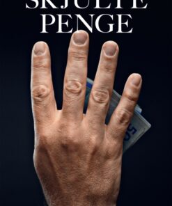 Skjulte penge (E-bog)