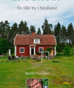 Skoghult - en lille by i Glasriget i Småland (E-bog)