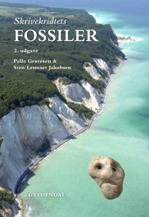 Skrivekridtets fossiler (Bog)