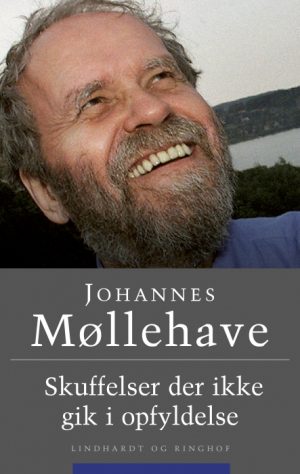 Skuffelser der ikke gik i opfyldelse (E-bog)