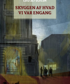 Skyggen af hvad vi var engang (Bog)