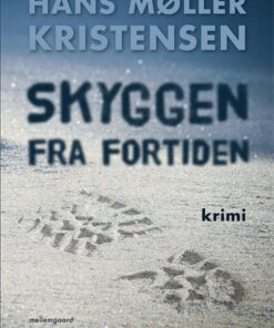 Skyggen fra fortiden (E-bog)