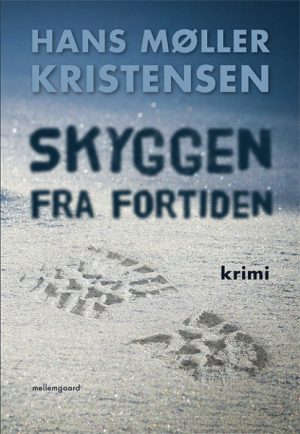 Skyggen fra fortiden (E-bog)