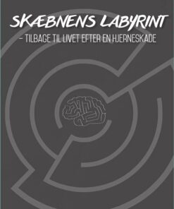 Skæbnens Labyrint - Line Kaster Wassileffsky - Bog