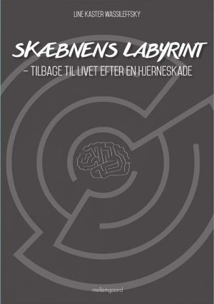 Skæbnens Labyrint - Line Kaster Wassileffsky - Bog