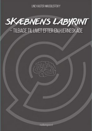 Skæbnens labyrint (Bog)