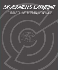 Skæbnens labyrint (E-bog)