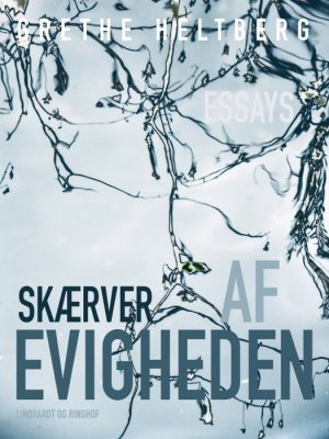 Skærver af evigheden (E-bog)