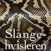Slangehvisleren - Andrus Kivirähk - Bog