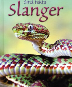 Slanger (E-bog)